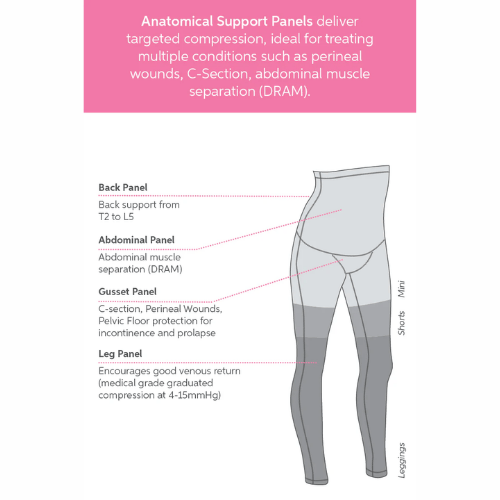 SRC C-Section Recovery Shorts