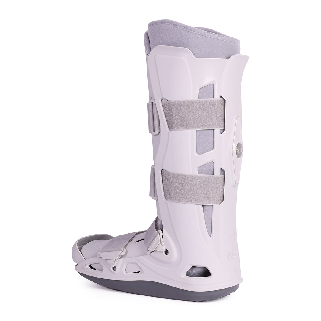 Full Shell Walker oapl Full Shell Walker – ePhysio