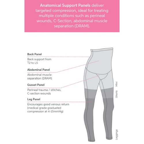 SRC Recovery Shorts Mini